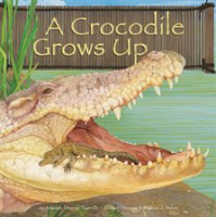 A_Crocodile_Grows_Up